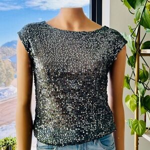 The Limited, Metallic Gray Sequin Sheer Blouse, Size: Small